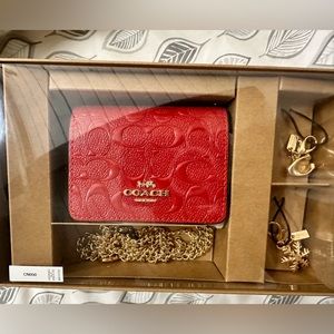 Coach mini wallet with cross body chain and removable charms